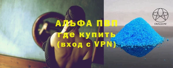 ПСИЛОЦИБИНОВЫЕ ГРИБЫ Покров